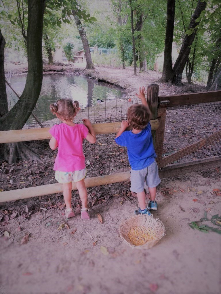 Estate 2019